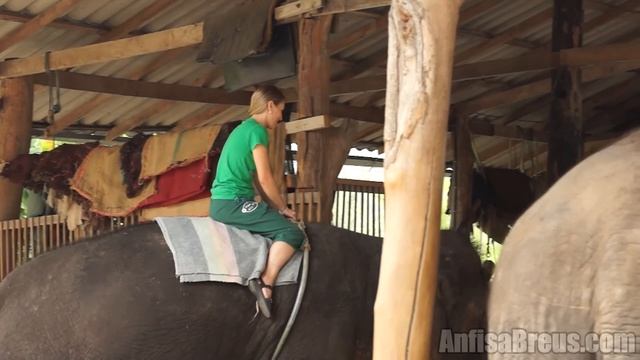 Таиланд. Пай. Катание на слоне. Thom Pai Elephant Camp. смотреть онлайн