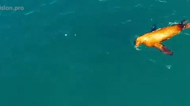 Сылачкив писания смотреть онлайн