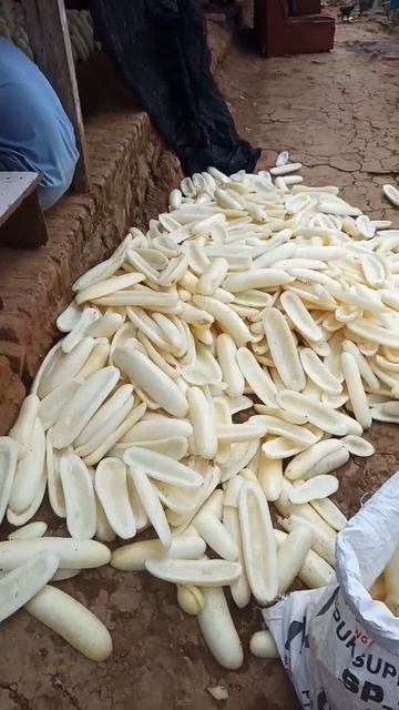 daging timun pakan kambing смотреть онлайн