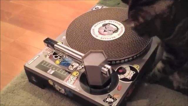 Cat Furniture - Suck UK Cat Scratch смотреть онлайн