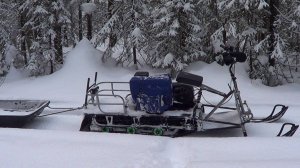 Охота на куницу капканами. сезон 24-25г. / ПРОВЕРКА КАПКАНОВ 27.01.2025год.