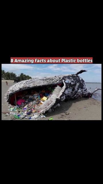 Amazing Facts about Plastic bottles amazing facts😒......... смотреть онлайн