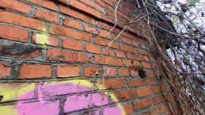 Graffiti day with the Bober. Граффити и теггинг в Борисовке.