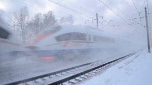 Двойной сапсан