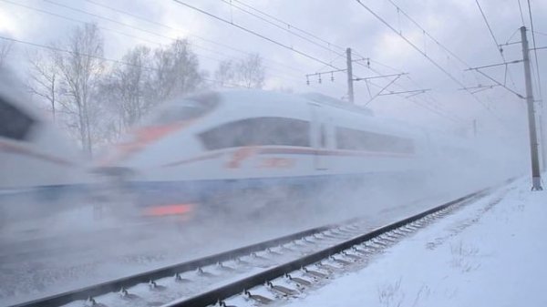 Двойной сапсан