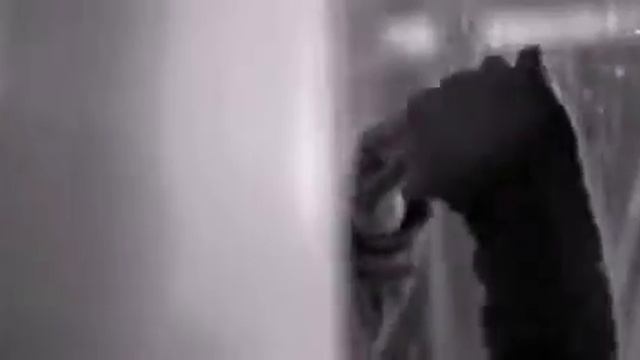 Топ 5: Иван Дорн смотреть онлайн
