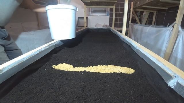 Заселение, кормление червей (дендробены) в стеллаже. смотреть онлайн