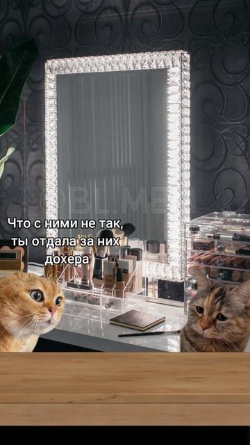 Жиза №12 смотреть онлайн