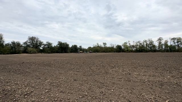 Сев озимой пшеницы. Урожай 2025. смотреть онлайн