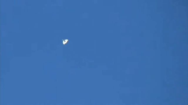 13 июля 2024 г. смотреть онлайн