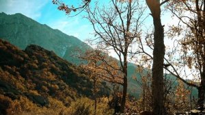 Не бывать счастью - без преодоления трудностей, и духовному преуспеянию - без практики...