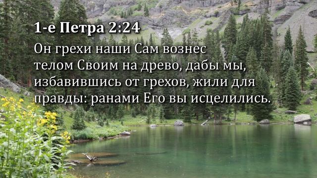4. У вас уже все есть! (Эндрю Уоммак) смотреть онлайн