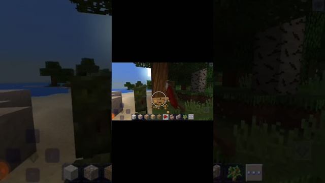 sere de Minecraft todos os dias as 10:00 horas da manhã e 5:00 da tarde não perca смотреть онлайн