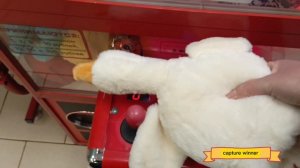 ЗАГЛЯНУЛА В 2 АППАРАТА 🎰КОГО ПОЙМАЮ?😉