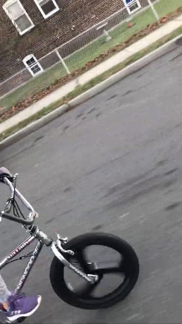 Mid-School Mongoose смотреть онлайн