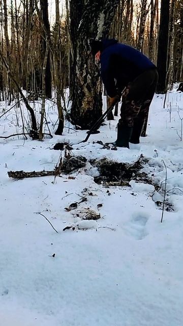 Находка в лесу #металлоискатель #копметаллолома смотреть онлайн