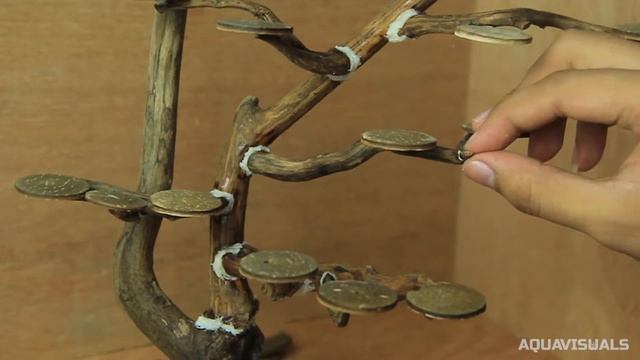 Simple DIY Bonsai Tree For Aquascape | Bonsai Aquarium