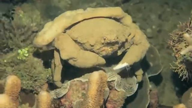 un'ora d'aria notturna смотреть онлайн