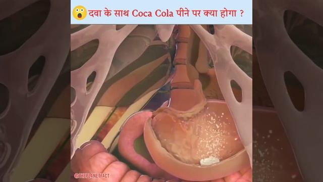 दवा खाने के बाद Coca Cola पिए तो क्या होगा?#shorts #facts #shortsbeta #cocacola #information#ytshor смотреть онлайн
