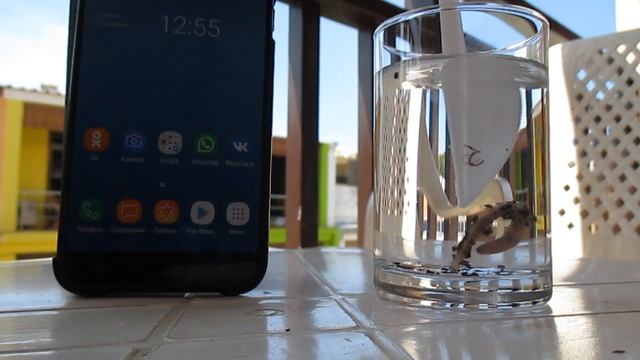 Вредна ли соль для червей? Ура - а - а - а - а ОТПУСК!!! смотреть онлайн