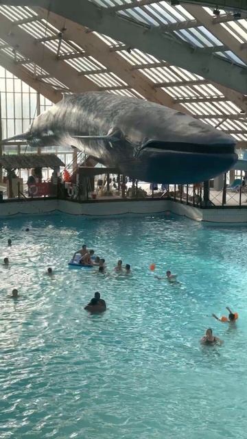 Огромный водный парк в Париже - Aquaboulevard de Paris смотреть онлайн