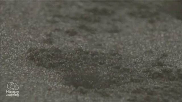 Los seres vivos se relacionan смотреть онлайн