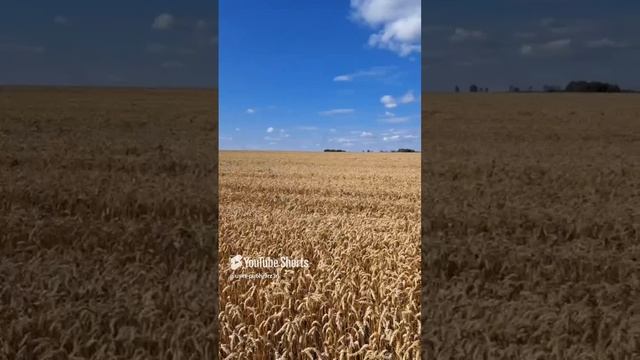 Урал. 08.09.24 смотреть онлайн