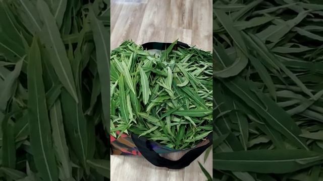 Производство Иван-Чая смотреть онлайн