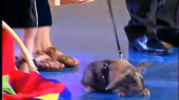 Юрмала 2005 Астана.KZ