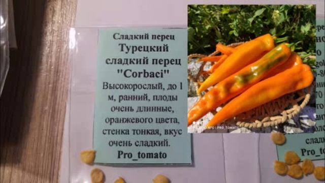 Огородный сезон 2025//Серия 1