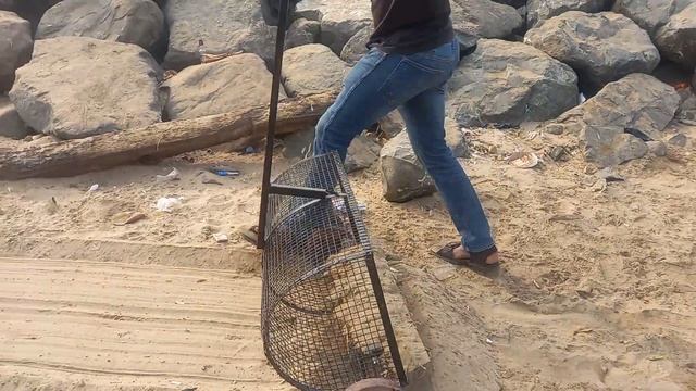 Compact Beach Sand Clean-up Tool. смотреть онлайн