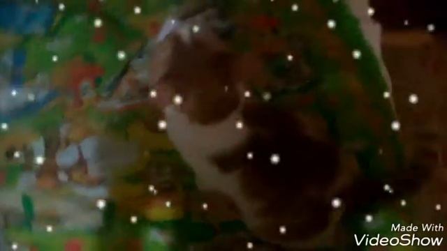 Мой Кузя на кровати смотреть онлайн