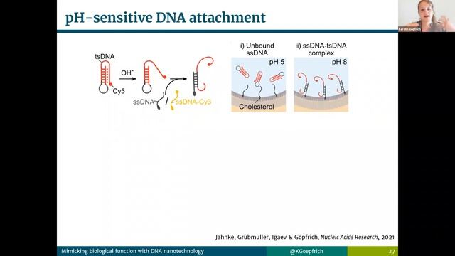 Theory of Living systems Webinar - Dr. Kerstin Göpfrich (MPI, Heidelberg) смотреть онлайн