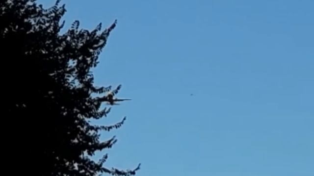 Железная птичка. смотреть онлайн