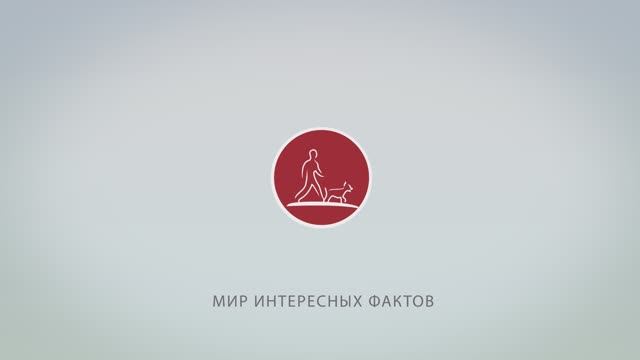 Обман зрения смотреть онлайн