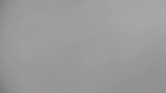 Возвращается с залета голубенок Беседы Вадима 30 05 2020 смотреть онлайн