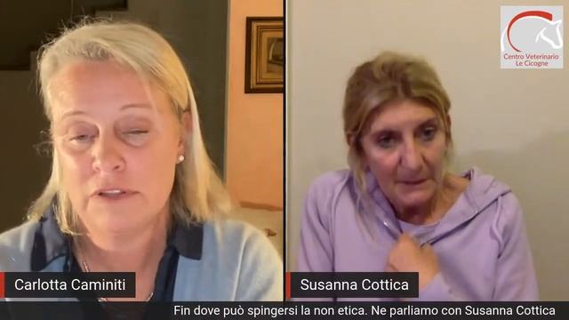 Fin dove può spingersi la "non" etica? смотреть онлайн