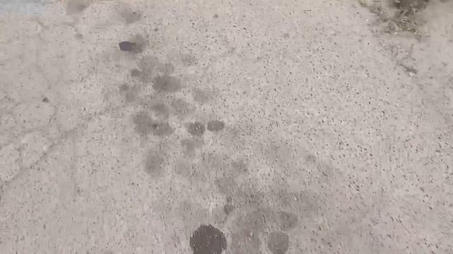 Собираем документы в Университет / Не ищем лёгких путей / Эклеры для Левушки смотреть онлайн