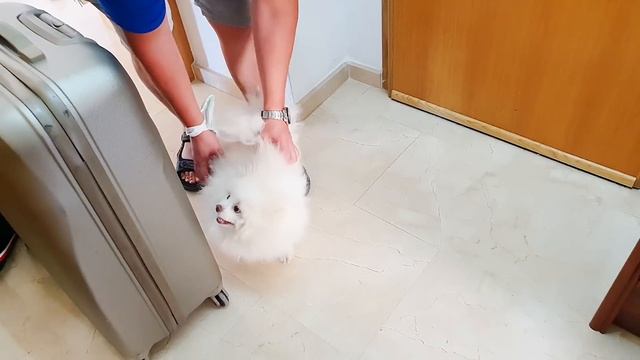 ШОК !!!!Это свершилось, я очень этого ждала. смотреть онлайн