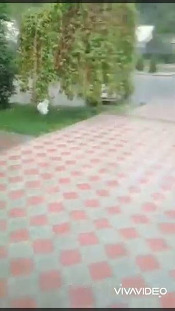 Panjakent: Qarorgohi Qaynar. Жола меборад. смотреть онлайн