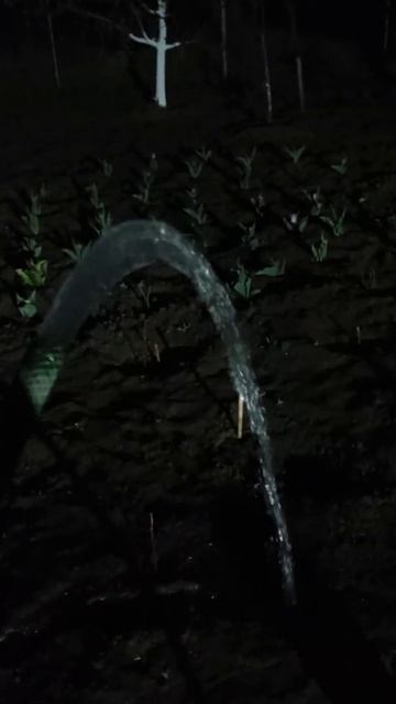 Вода из скважины возле Кравцова озера смотреть онлайн