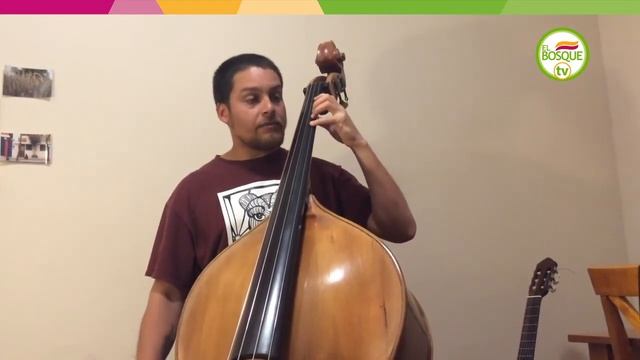Contrabajo - Clase 13: Postura mano izquierda смотреть онлайн