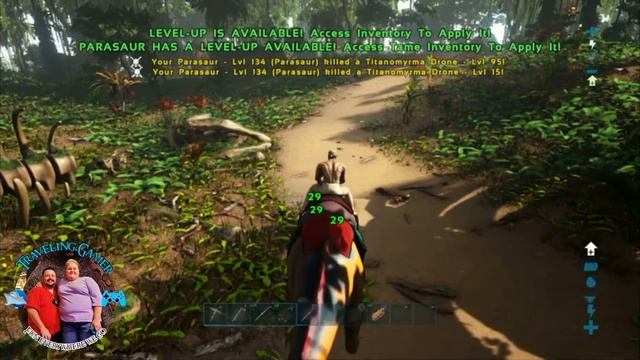 Time to hunt a Sinomacrops! Ark Lost Island on PS4 смотреть онлайн