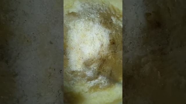 Можно ли заморозить и разморозить пшенную кашу?