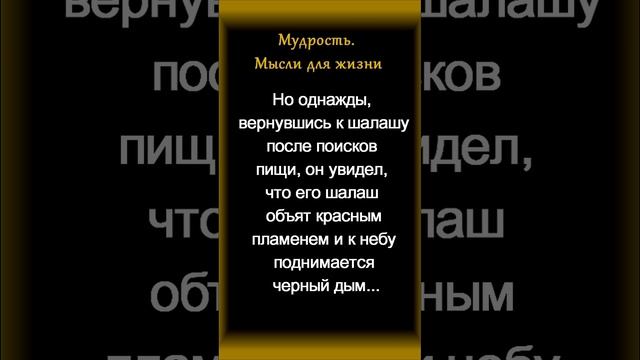 Притча. Всё к лучшему. Мысли для жизни #shorts смотреть онлайн