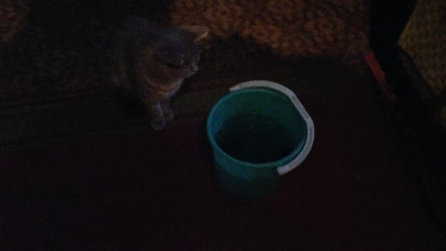 Путешествие в деревню заключительная серия смотреть онлайн