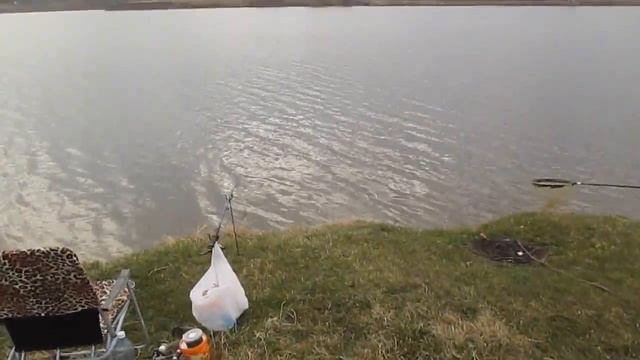 Третий фидерный фестиваль на Алтае. Рыбалка для души! смотреть онлайн