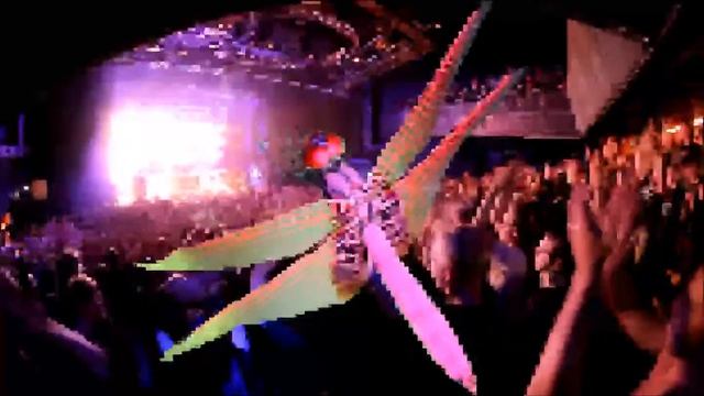 Dragonfly In The Club смотреть онлайн