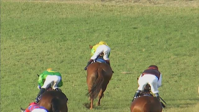 Paprika with Afroz Khan up wins The Kasu Brahmananda Reddy Memorial Cup 2018 смотреть онлайн