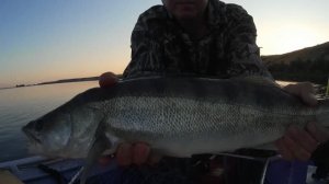 Рыбалка на Дону. База отдыха Пятиизбянка.